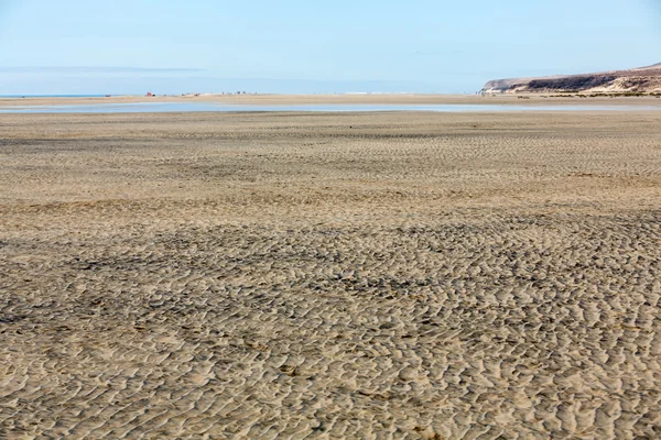 Παραλία playa de sotavento, καναρίνι νησί Φουερτεβεντούρα — Φωτογραφία Αρχείου