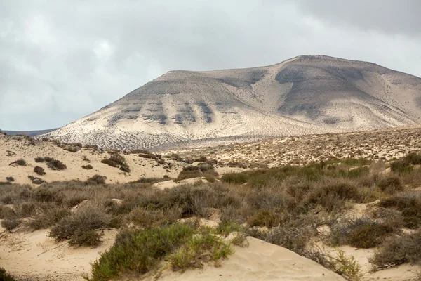 The desert landscape  Costa Calma on Fuerteventura. — Stock Photo, Image