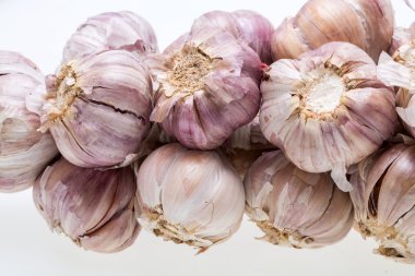 Beyaz arka plan üzerinde izole sarımsak dize