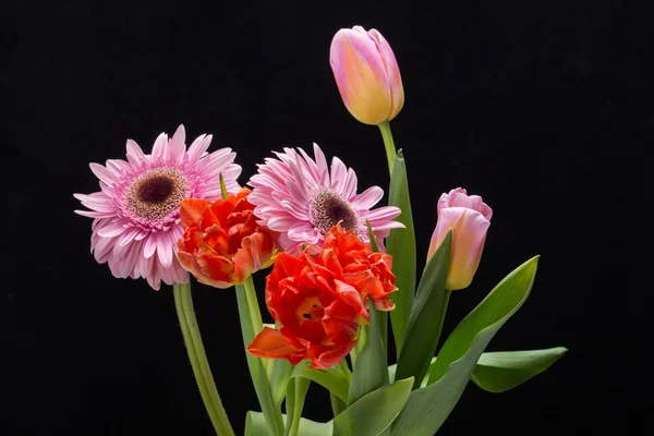 Bunter Strauß frischer Frühlingstulpen und Gerbera-Blumen — Stockfoto