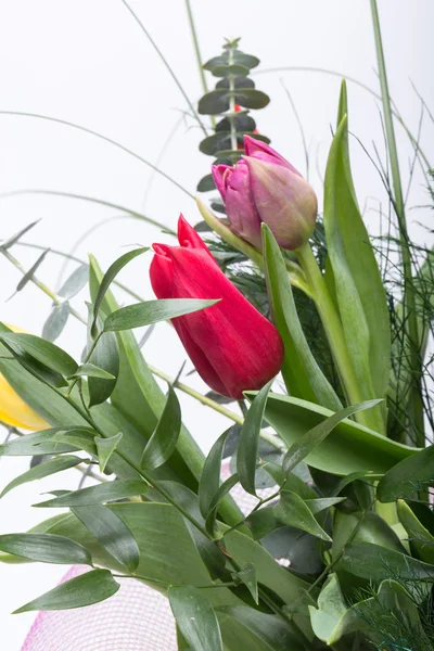 Kolorowy bukiet kwiatów tulipan wiosna świeży — Zdjęcie stockowe