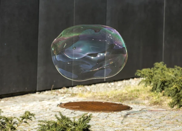 Les bulles de savon transparentes et irisées sur fond noir — Photo