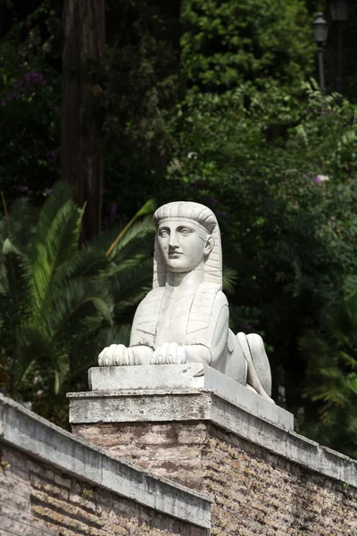 Sphinx auf der Piazza del Popolo - Rom, Italien. — Stockfoto