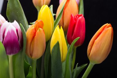 renkli taze bahar Lale çiçek buketi