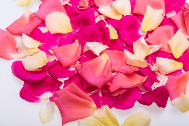 Pembe ve sarı güller çiçek yaprakları. Arka plan