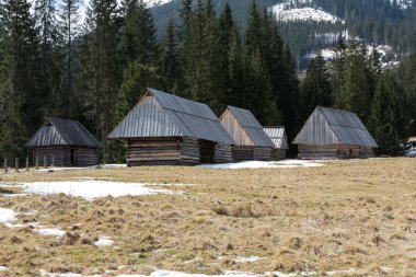 Bahar, Tatra Dağları, Polonya Chocholowska Vadisi'nde ahşap kulübeler