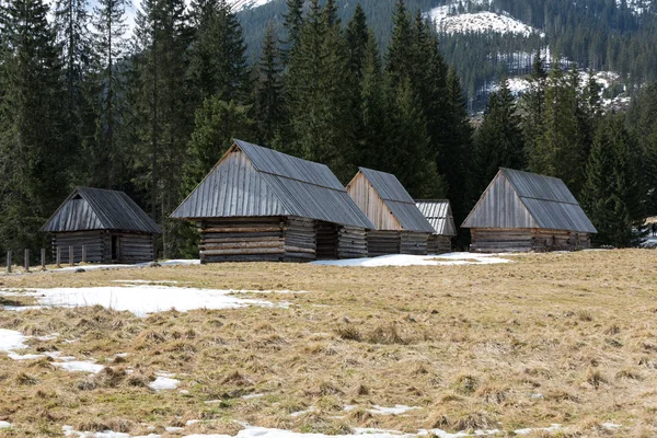 Houten hutten in de vallei van de Chocholowska in de lente, Tatra bergen, Polen — Stockfoto