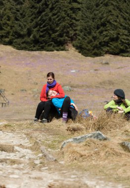 Dağ çayır çiçek açan, Çiğdem çiçeklerle Chocholowska Vadisi, Tatra Dağları, Polonya oturan genç turist