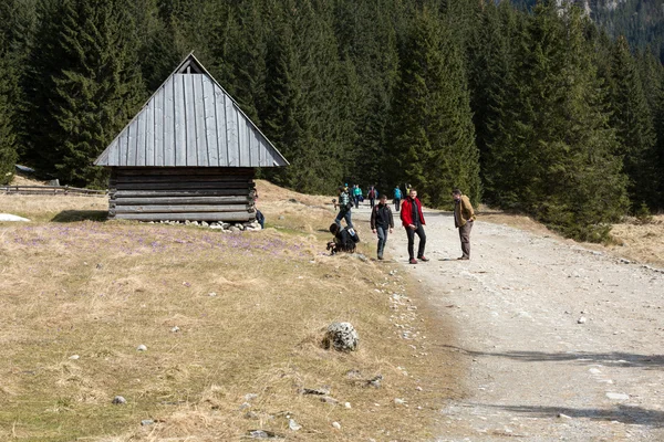 Tourists walking on hiking path in Chocholowska valley in spring season, Tatra Mountains, Poland