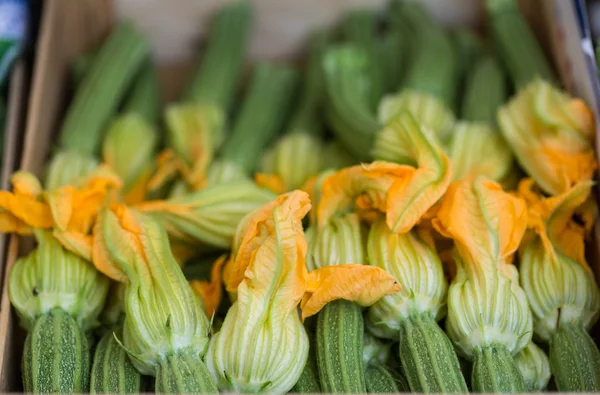 Flores frescas de calabacín en el mercado de los agricultores — Foto de Stock