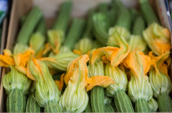 Flores de abobrinha frescas no mercado dos agricultores — Fotografia de Stock