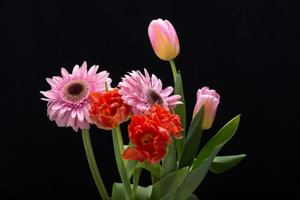 Bunter Strauß frischer Frühlingstulpen und Gerbera-Blumen — Stockfoto