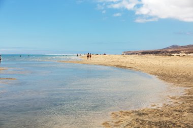 plaj playa de sotavento, Kanarya Adası fuerteventura, İspanya