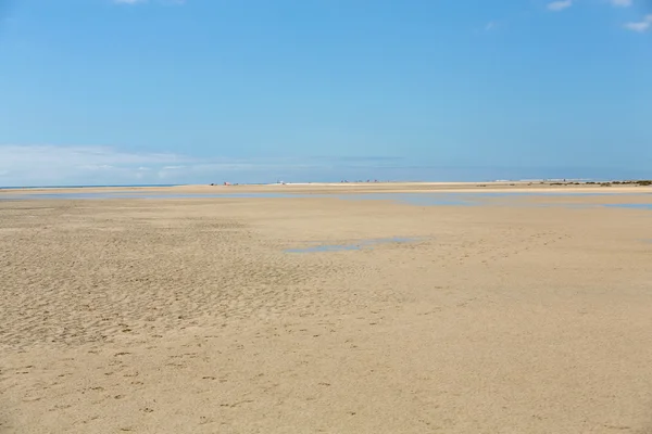 Playa Playa de Sotavento, Islas Canarias Fuerteventura, España — Foto de Stock