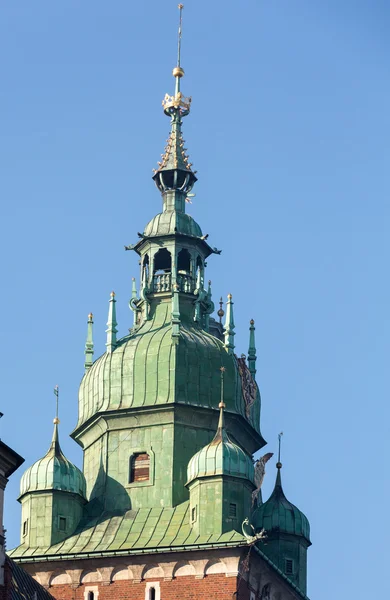 Wawel royal castle - krakow, Polonya — Stok fotoğraf
