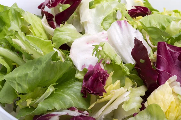  Yeşil ve kırmızı yaprak marul. Beyaz bir arka plan üzerinde izole