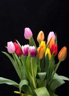 renkli taze bahar Lale çiçek buketi
