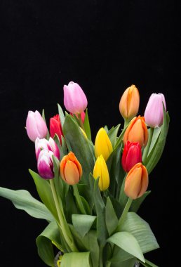 renkli taze bahar Lale çiçek buketi