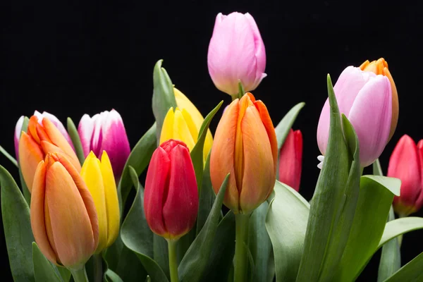 Bunter Strauß frischer Frühlingsblumen — Stockfoto