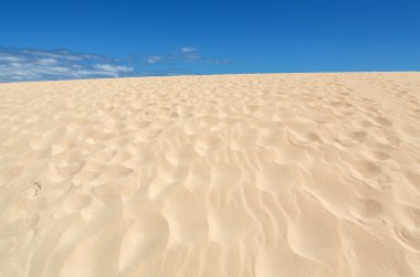 İspanya 'nın Kanarya Adaları' ndaki Corralejo kumulları Fuerteventura Çölü