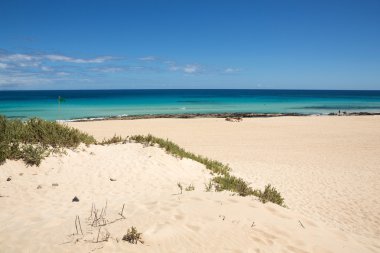 Corralejo kumsalda Fuerteventura, Kanarya Adaları