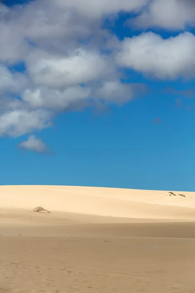 Homok szokások, után a szél a a Természetvédelmi Park természeti, Corralejo, Fuerteventura, Kanári-szigetek, Spanyolország. — Stock Fotó