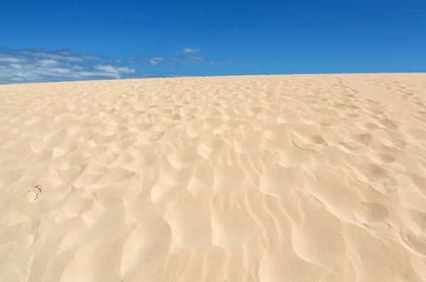 Corralejo dunes Fuerteventura desert at Canary Islands of Spain — Stock Photo, Image
