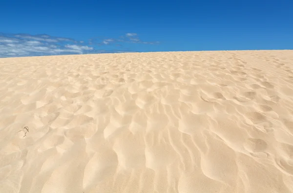 Dunas de Corralejo Desierto de Fuerteventura en Islas Canarias de España —  Fotos de Stock