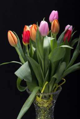 renkli taze bahar Lale çiçek buketi