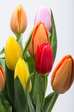 renkli taze bahar Lale çiçek buketi