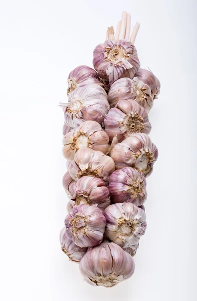 String of garlic isolated on white background — Stock Photo, Image