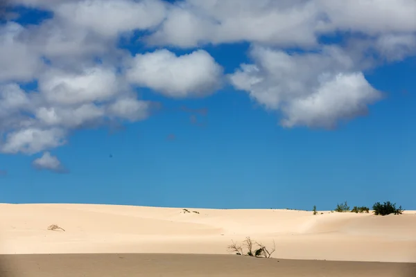 Modelli di sabbia dopo vento sulla riserva naturale, Parco Naturale, Corralejo, Fuerteventura, Isole Canarie, Spagna . — Foto Stock