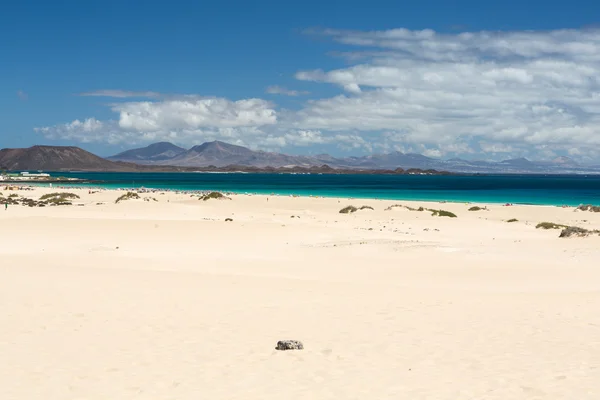 Stranden i Corralejo på Fuerteventura, Kanarieöarna. Spanien — Stockfoto