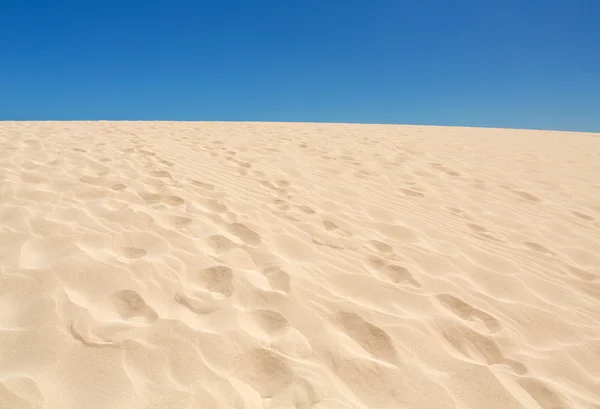 Corralejo duinen Fuerteventura woestijn op de Canarische Eilanden van Spanje — Stockfoto