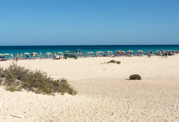 Turistas descansan en la playa de Corralejo en Fuerteventura, Islas Canarias —  Fotos de Stock