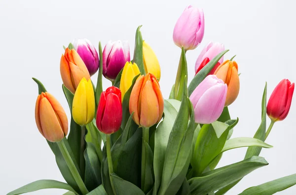 renkli taze bahar Lale çiçek buketi
