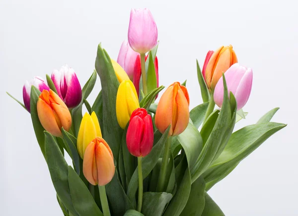renkli taze bahar Lale çiçek buketi