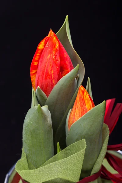 Bukiet kwiatów czerwone tulipany wiosna świeży — Zdjęcie stockowe