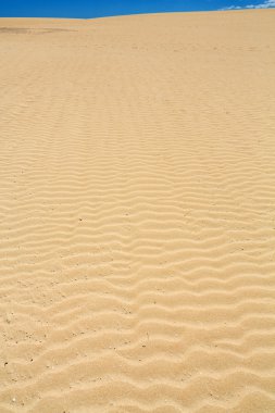 Kum desen doğa rezerv rüzgarla sonra Park doğal, Corralejo, Fuerteventura, Kanarya Adaları, İspanya.