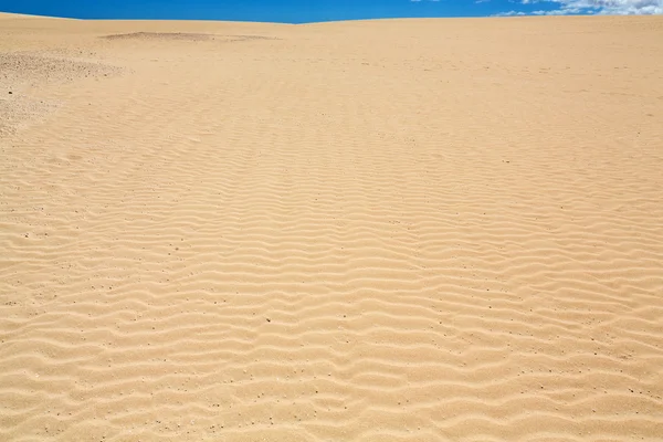 Sand patterns after wind  on the Nature reserve, Park Natural, Corralejo, Fuerteventura, Canary Islands, Spain. — Stock Photo, Image