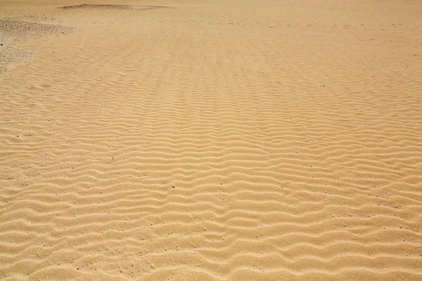 Padrões de areia após vento na reserva natural, Parque Natural, Corralejo, Fuerteventura, Ilhas Canárias, Espanha . — Fotografia de Stock