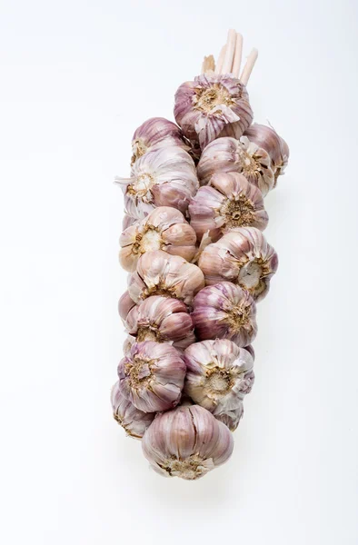 String of garlic isolated on white background — Stock Photo, Image