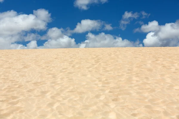 Kum desen doğa rezerv rüzgarla sonra Park doğal, Corralejo, Fuerteventura, Kanarya Adaları, İspanya. — Stok fotoğraf