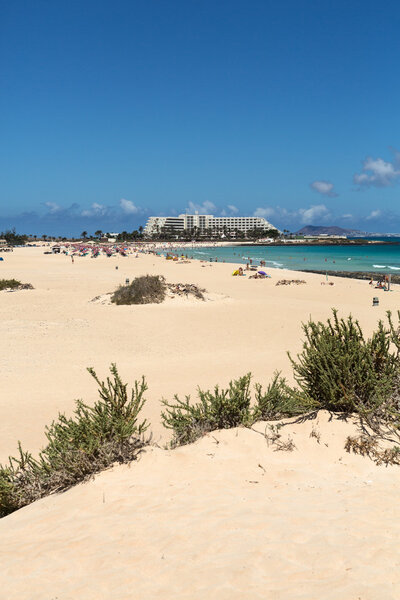  Tourists rest on Corralejo Beach on Fuerteventura, Canary Islands