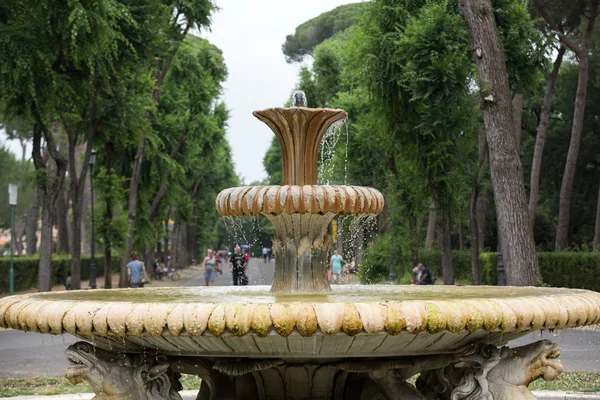 ボルゲーゼ公園の庭園の噴水。ローマ、イタリア — ストック写真