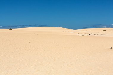 Kum desen doğa rezerv rüzgarla sonra Park doğal, Corralejo, Fuerteventura, Kanarya Adaları, İspanya.
