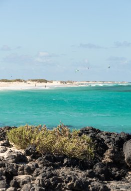 Fuerteventura, Kanarya Adaları Corralejo kumsalda. İspanya
