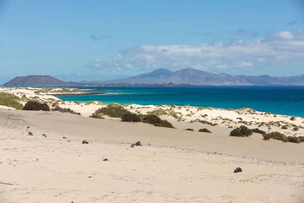 Corralejo strand op Fuerteventura, Canarische eilanden — Stockfoto