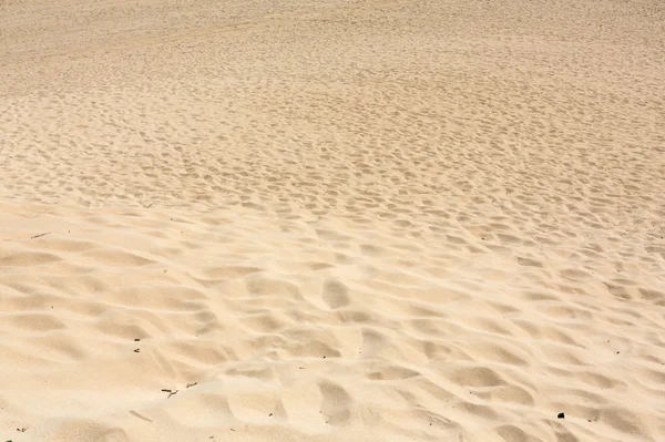 Padrões de areia após vento na reserva natural, Parque Natural, Corralejo, Fuerteventura, Ilhas Canárias, Espanha . — Fotografia de Stock