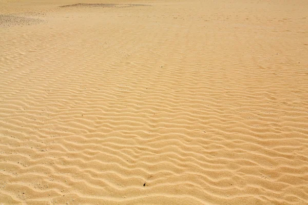 Padrões de areia após vento na reserva natural, Parque Natural, Corralejo, Fuerteventura, Ilhas Canárias, Espanha . — Fotografia de Stock